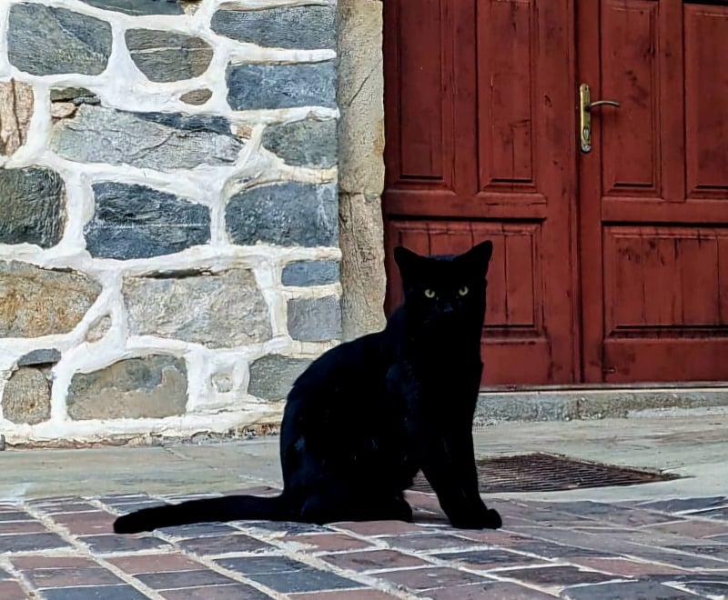 Η θρησκοληψία: αιτία παραπλάνησης του ανθρώπου