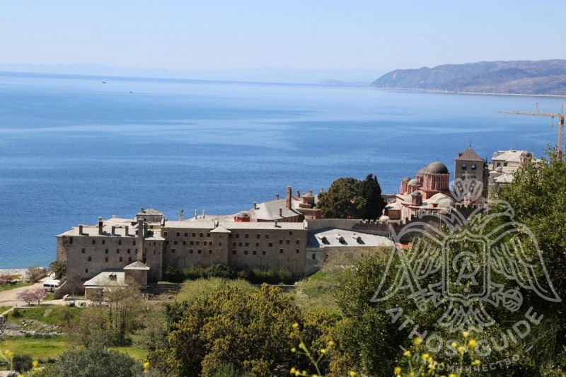 Первый случай заболевания на Святой Горе