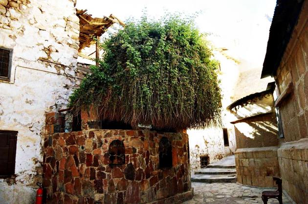 Неопалимая купина