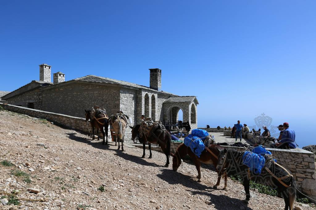 Паломники и ослики
