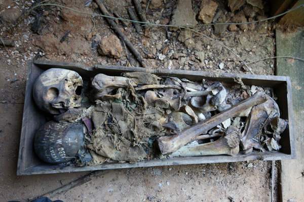 Обнаруженные останки фото