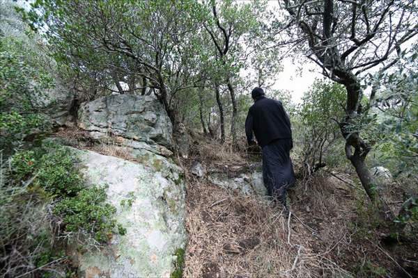 Монах на Афоне в лесу