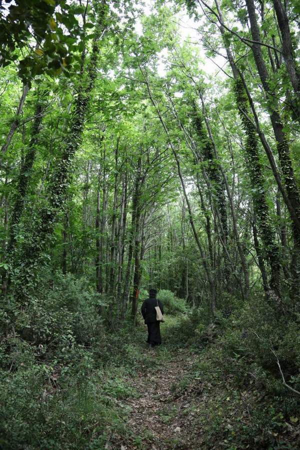 Монах в лесу фото