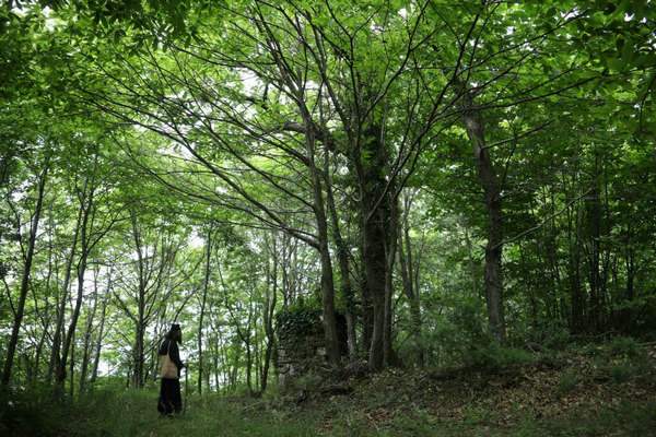 Монах в афонском лесу
