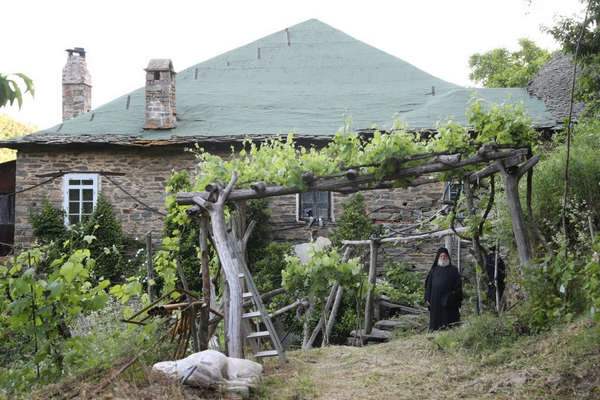 Виноградник у входа в келью фото