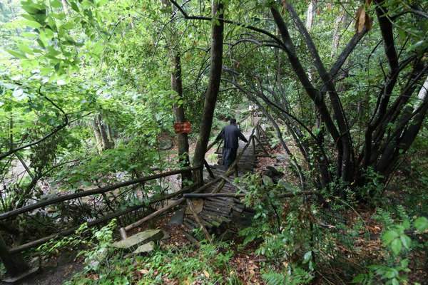 Деревянный мост на Афоне фото