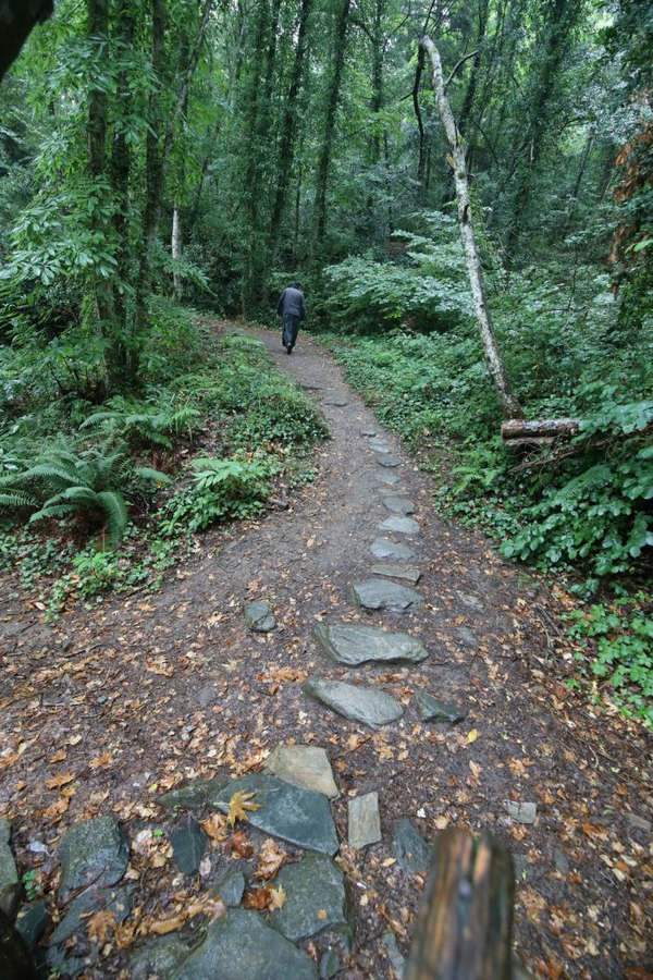 Афонская тропа фото